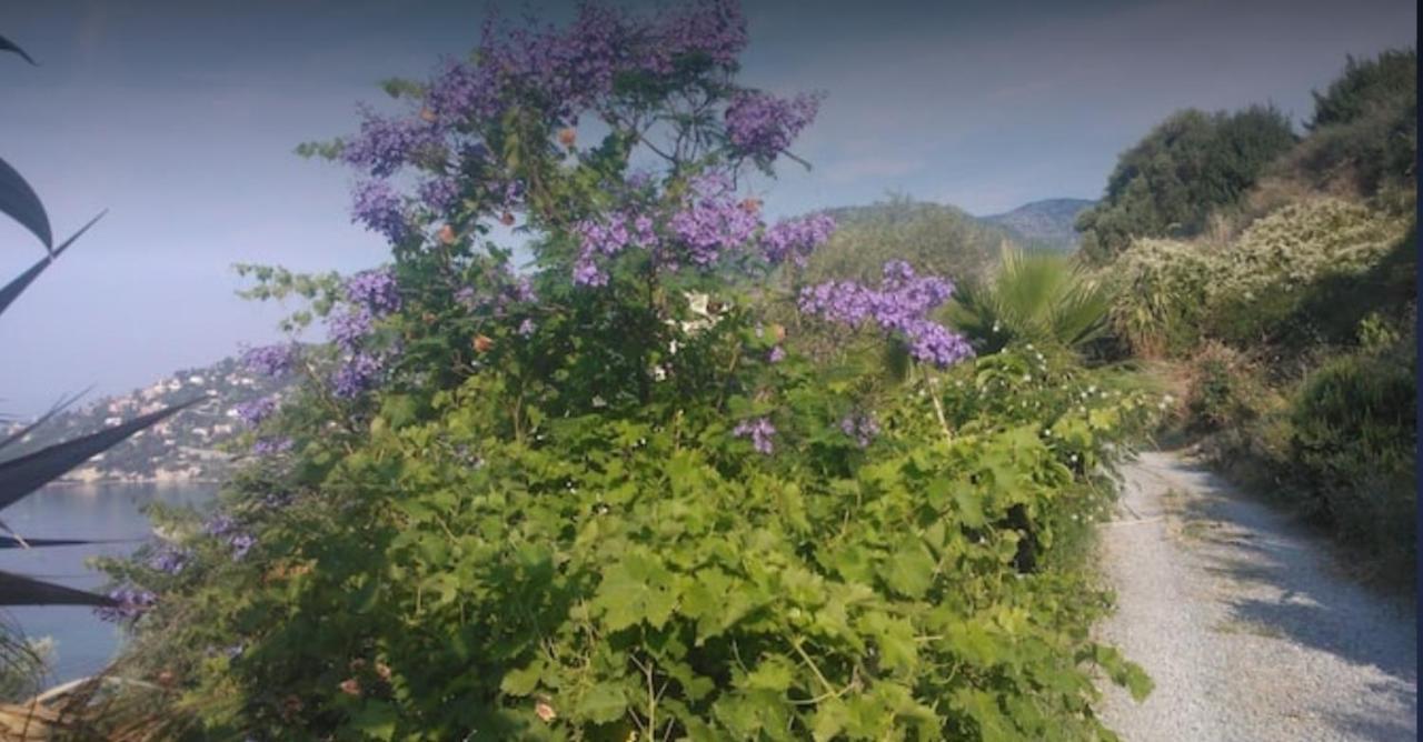 Romantic Casa Lorenzina Gasthof Ventimiglia