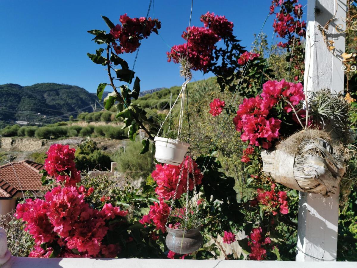 Romantic Casa Lorenzina Gasthof